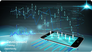 Lộ trình của nhà đầu tư